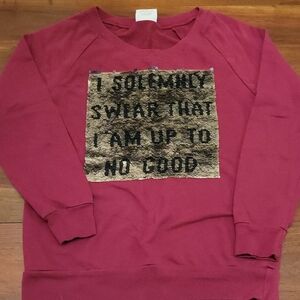 Harry Potter Wizard Warner Bros. Burgundy Sweatshirt